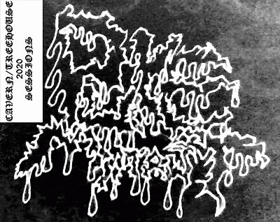 Puke Mutant : Cavern - Treehouse Sessions